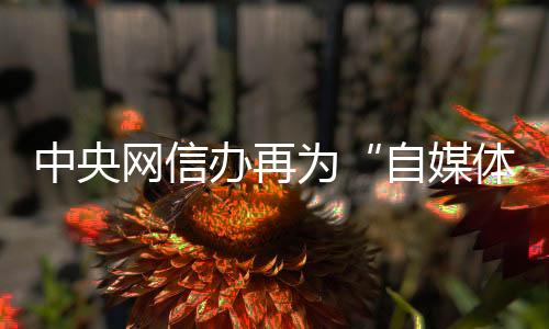 办再自媒体不是红线网站