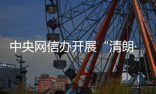 网信从深从细全面整治