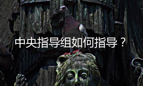 中央指导组何指导2025年6月1日