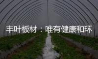 丰叶板材：唯有健康和环保不可辜负!
