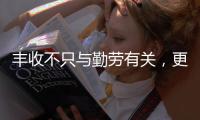 丰收不只与勤劳有关
，更与市场和风险相连丨记者手记