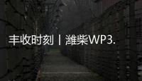 丰收时刻丨潍柴WP3.6N勇当先	，油菜丰收捷报传