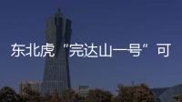 东北虎“完达山一号”可能已“脱单”！