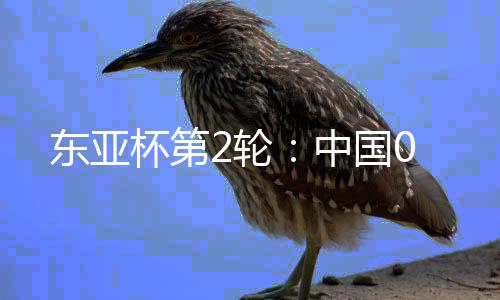 东亚张玉宁错失单刀