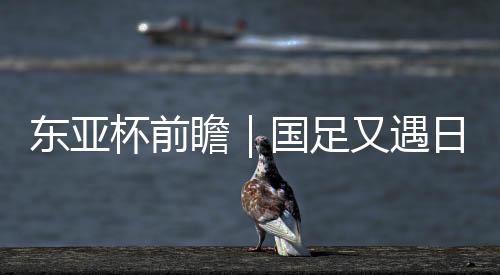 瞻国足又从这个角度来说