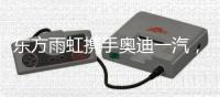 东方雨虹携手奥迪一汽，共探绿色未来
