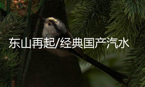 感知城市味道的东山重要媒介