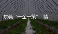 东莞“一企一策”  精准助企解燃眉