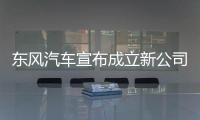 东风汽车宣布成立新公司
，卓驭科技称Tier1需具备兜底能力