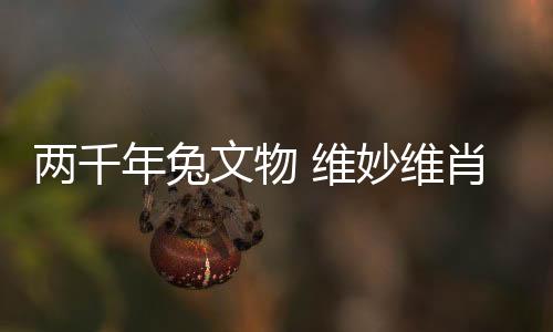 仿佛朝堂上的两千文臣