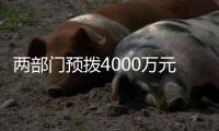 两部门预拨4000万元中央自然灾害救灾资金，支持琼粤桂防汛防台风