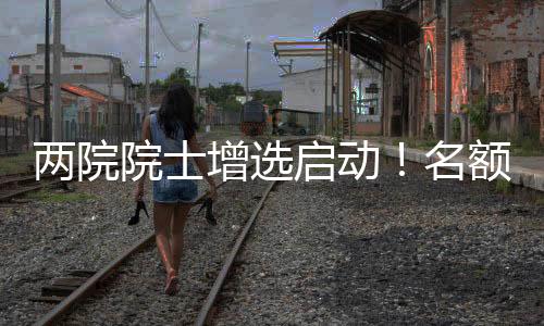 水利与建筑工程学部10名