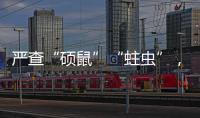 严查“硕鼠”“蛀虫”，十起典型案例公布！