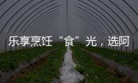 乐享烹饪“食”光，选阿诗丹顿灶具A325B
