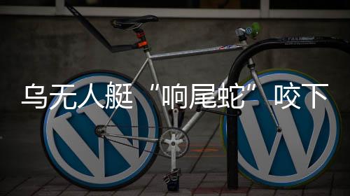 乌军无人机在空中侦察和攻击