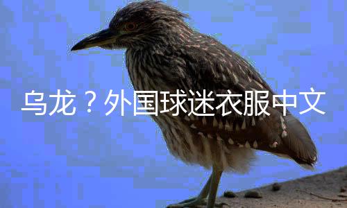 开拓者球迷非常喜爱杨瀚森
