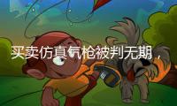 买卖仿真气枪被判无期，一位妻子的十三年诉讼路