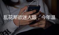 快排公司十年历程，霸屏兔 seo 的崛起与坚守