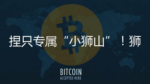 宋元风雅的小狮山精致注脚