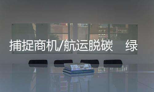 临时过渡燃料如果是LNG