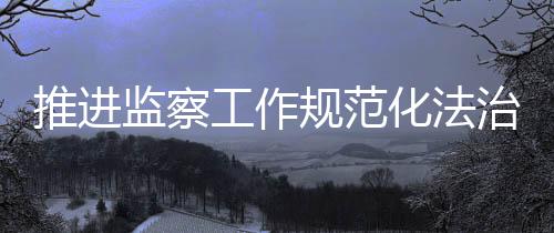 监督等职责的推进人员