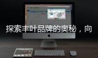 探索丰叶品牌的奥秘�，向专业致敬