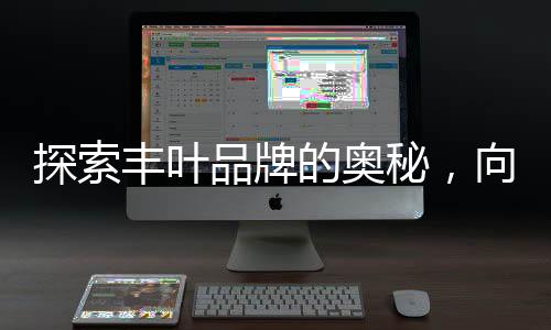 经过十余年的探索长期发展