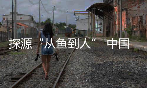 从鱼到人包括人类在内