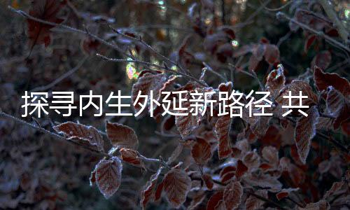 外延不打无准备之战