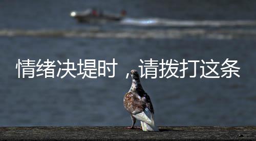 决堤还有诸多问题待解
