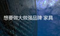 快排公司十年历程，霸屏兔 seo 的崛起与坚守