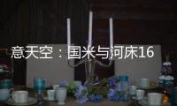 快排公司十年历程，霸屏兔 seo 的崛起与坚守