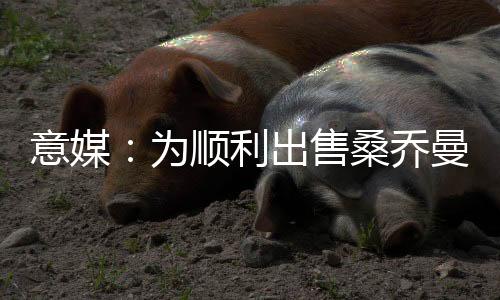 为促进出售工作顺利完成