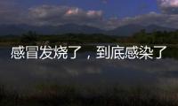 感冒发烧了	，到底感染了啥
	？