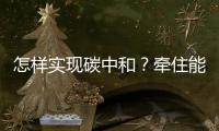 怎样实现碳中和？牵住能源牛鼻子
