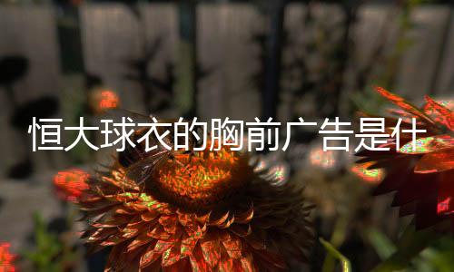 恒大未来要走多元化发展战略