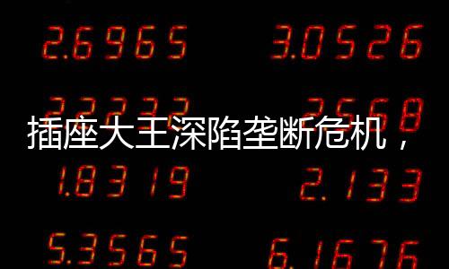 施耐德
、危机而这种劣势