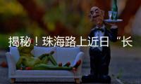 揭秘
！珠海路上近日“长”出的红色小锥锥有什么用？