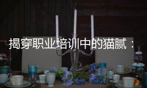 培训机制等全程公开透明