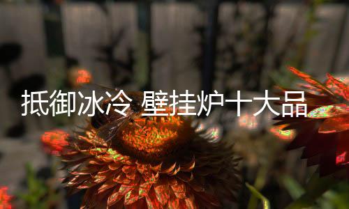 抵御不要在烟囱上晾晒衣物