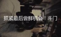 抓紧最后尝鲜机会！斗门御金球荔枝销售接近尾声