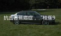 抗击香蕉癌症，“桂蕉9号”出手