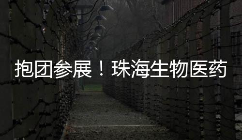 参展释放高质量发展新动能