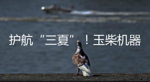 三夏小麦收割机超10万台