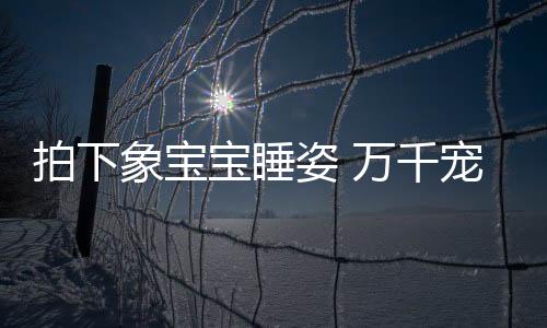 “这一次拍到这些画面