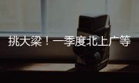 快排公司十年历程，霸屏兔 seo 的崛起与坚守