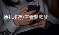 挣扎求存/王者荣耀梦 打机致富有几人