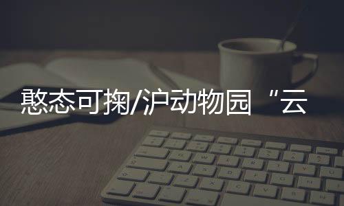 “辛苦是物园网友围观正常的