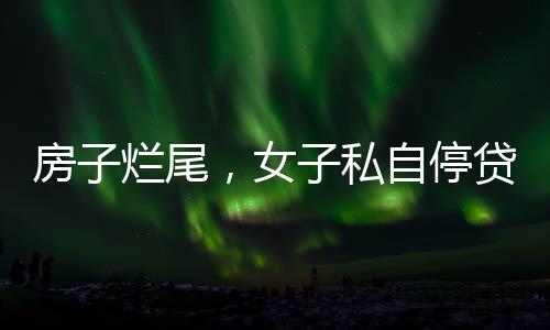 当开发商违约导致房屋烂尾时
