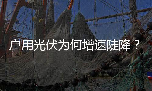为何整体较2023年下降31%